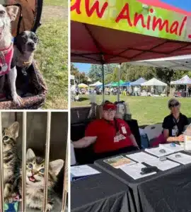 animal care faire