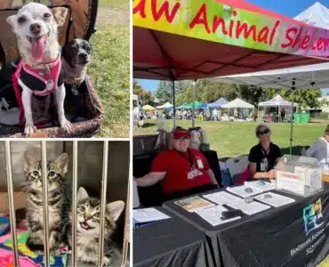 animal care faire