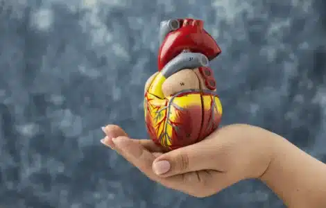 cardiovascular