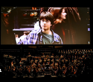 Harry Potter concert