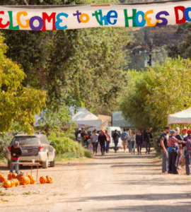 hoes down harvest festival