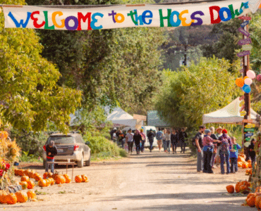 hoes down harvest festival