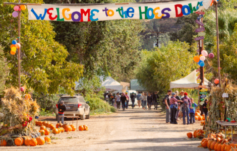 hoes down harvest festival