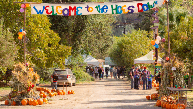 hoes down harvest festival