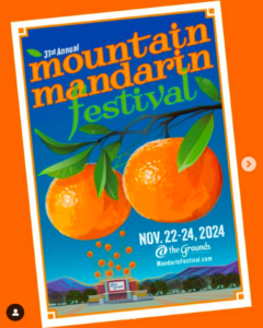 mandarin festival poster