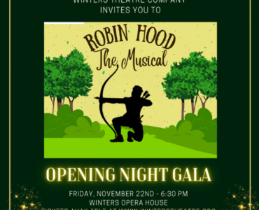 robin hood the musical