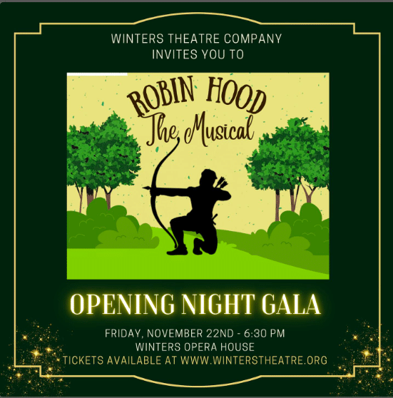 robin hood the musical