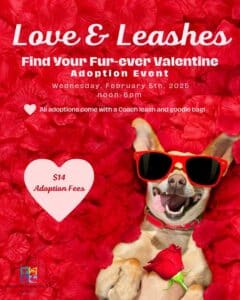 bradshaw shelter valentine's day