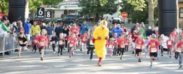 fair oaks chicken run