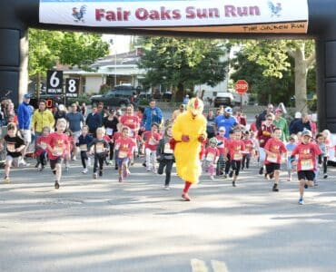 fair oaks chicken run