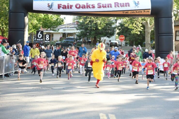 fair oaks chicken run